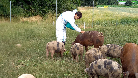 Jan-Philipp Beck beim Füttern der Schweine